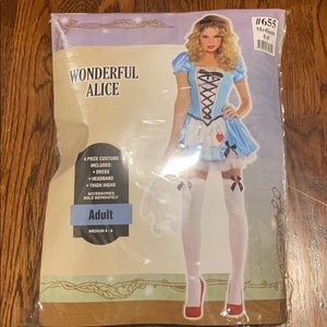 Alice in Wonderland Halloween Costume